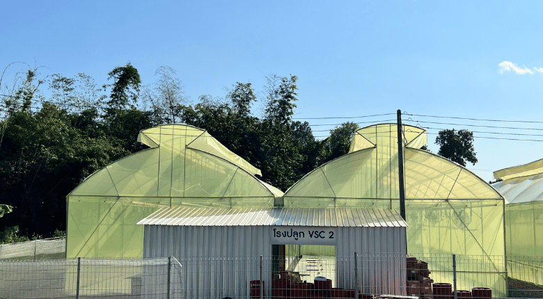 พลาสติกคลุมโรงเรือนสูตรคัดเลือกแสง