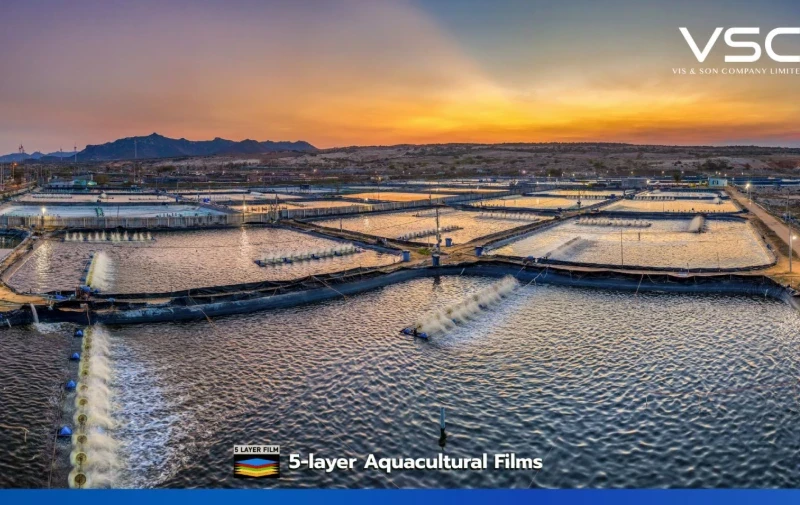 พลาสติกปูบ่อ หนา 0.15 mm สำหรับฟาร์มกุ้ง จ.สุราษฎร์ธานี