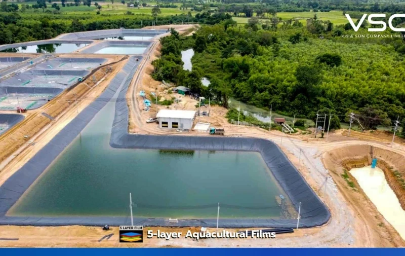 บ่อ HDPE Geomembrane 0.75 mm สำหรับเลี้ยงกุ้ง