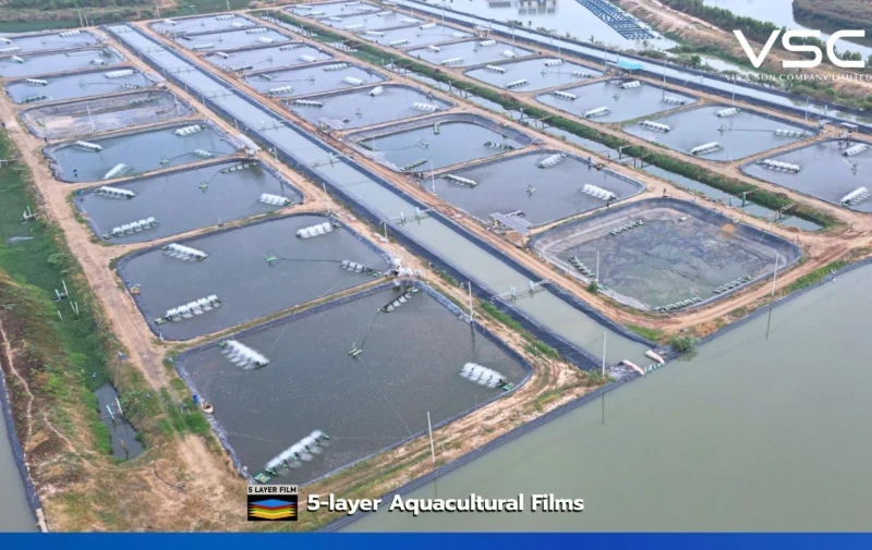 ฟาร์มปลา พีพีฟาร์ม จ.บุรีรัมย์ ใช้ HDPE Geomembrane 1.5 mm สำหรับเลี้ยงปลานิล และปลาทับทิม