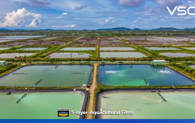 พลาสติกปูบ่อ VSC 300 ไมครอน ณ.ฟาร์มกุ้ง จ.ชุมพร