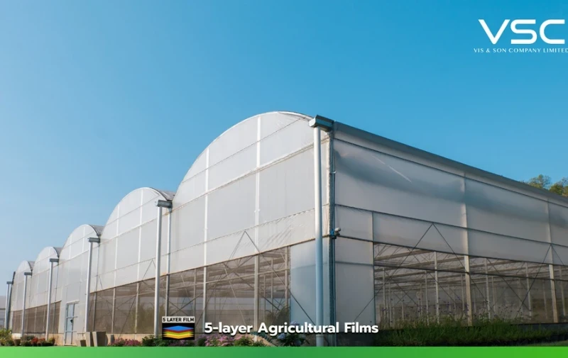 พลาสติกโรงเรือนลดความร้อนกระจายแสง (VSC cooling diffused film) สำหรับโรงเรือนมะเขือเทศ