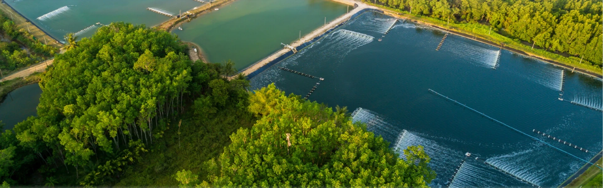 Pond Liner Film